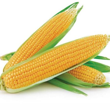 Sweet Dreams Arenal Kissen – Bild 5