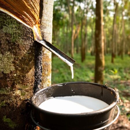 Erzstef Nautrlatex Nackenstützkissen verstellbar – Bild 3