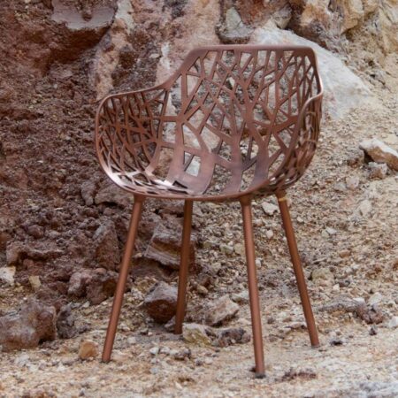 fast forest limited edition